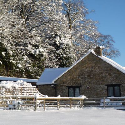 Swingletree in the snow
