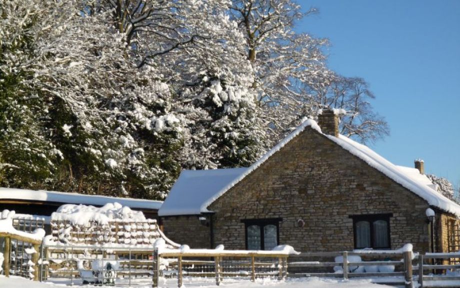 Swingletree in the snow